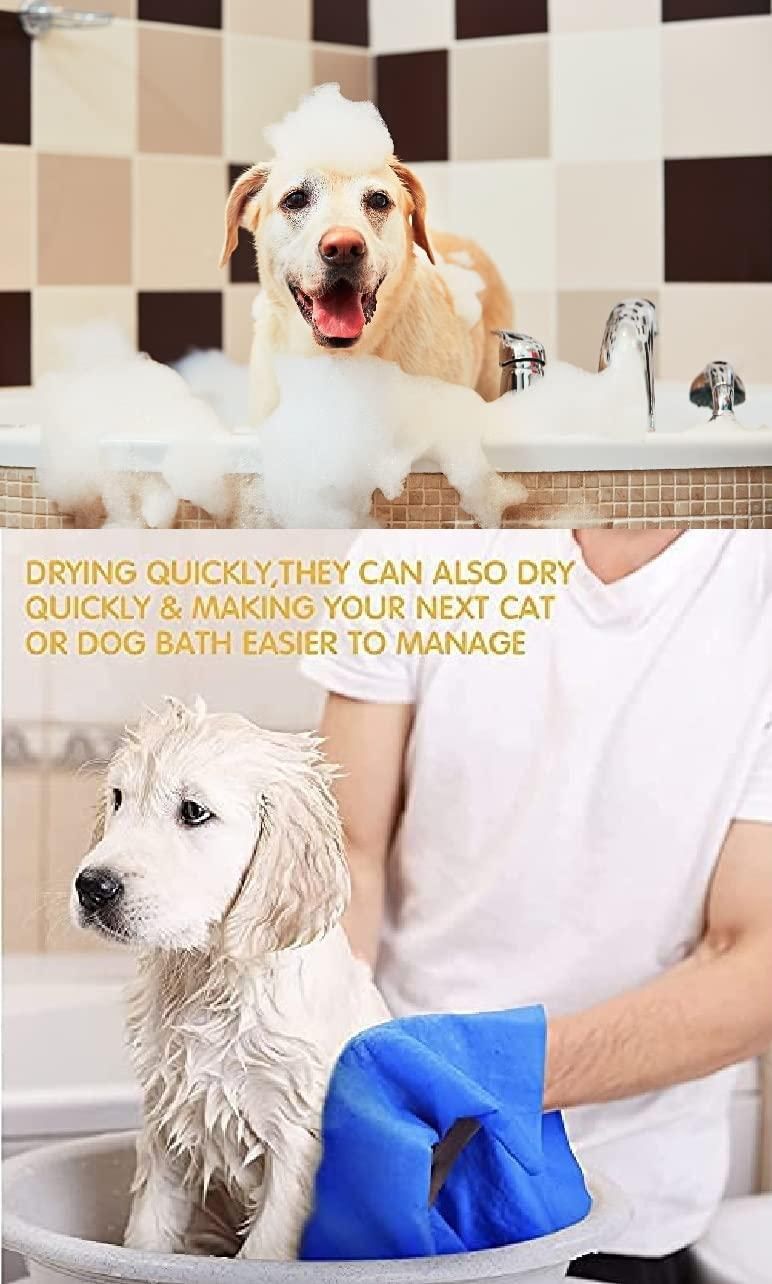 Anti-Itch Dog Shampoo|Ditch to Itch 300ml Pack of 2